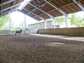 Longierhalle