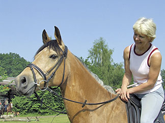 Pferd: Muck